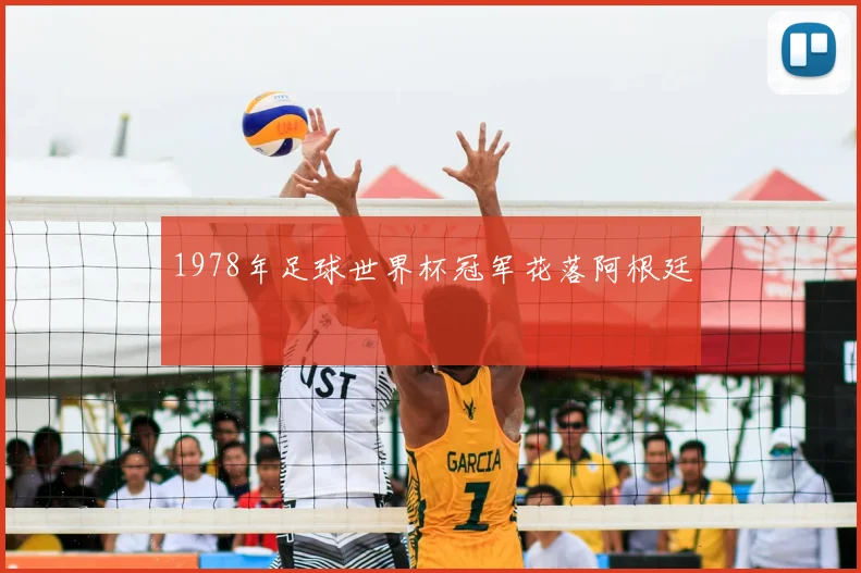 1978年足球世界杯冠军花落阿根廷