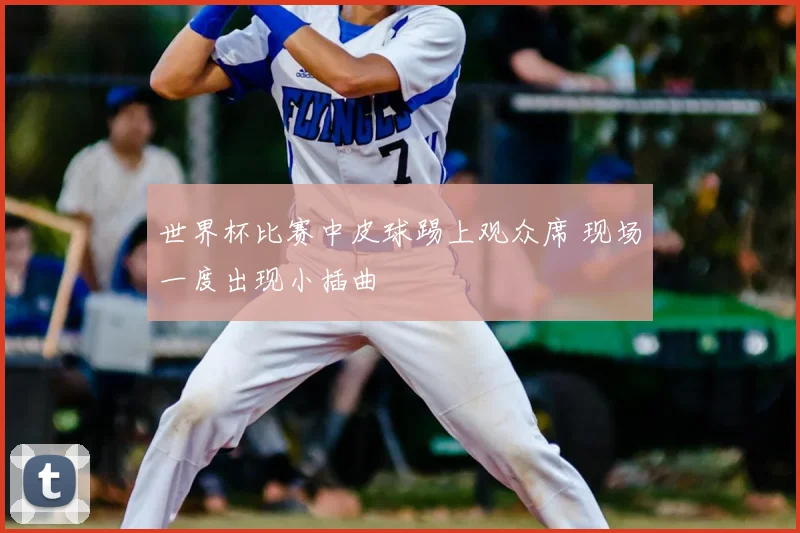 世界杯比赛中皮球踢上观众席 现场一度出现小插曲