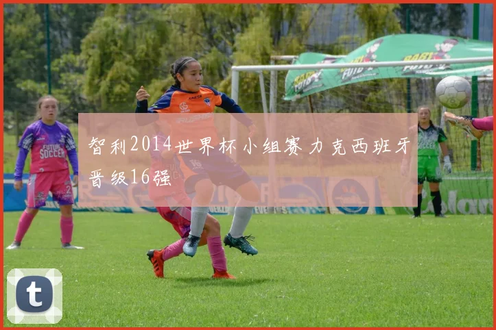 智利2014世界杯小组赛力克西班牙晋级16强