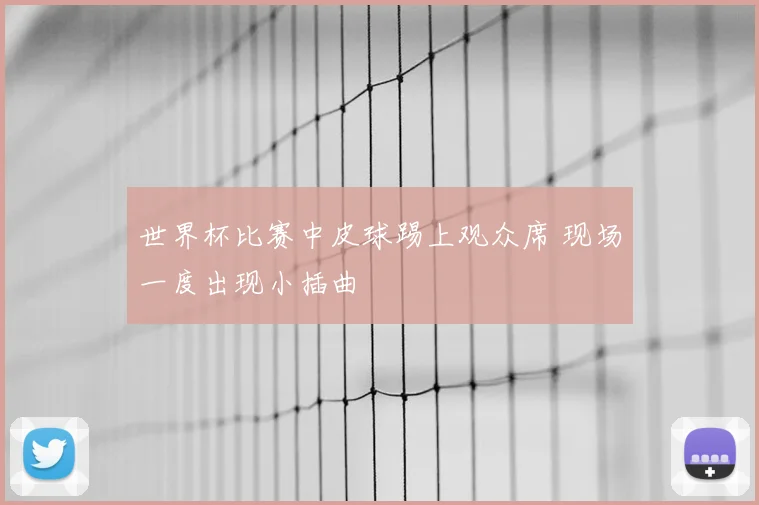 世界杯比赛中皮球踢上观众席 现场一度出现小插曲