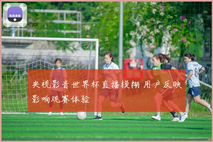 央视影音世界杯直播模糊 用户反映影响观赛体验