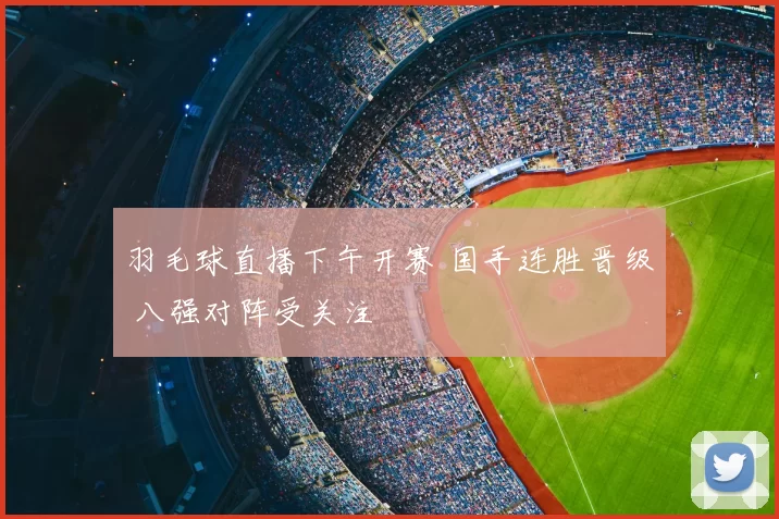 羽毛球直播下午开赛 国手连胜晋级 八强对阵受关注