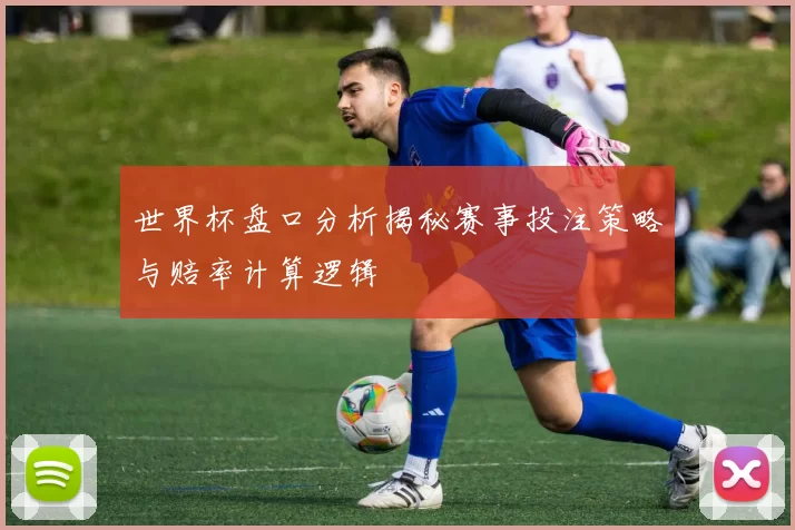 世界杯盘口分析揭秘赛事投注策略与赔率计算逻辑