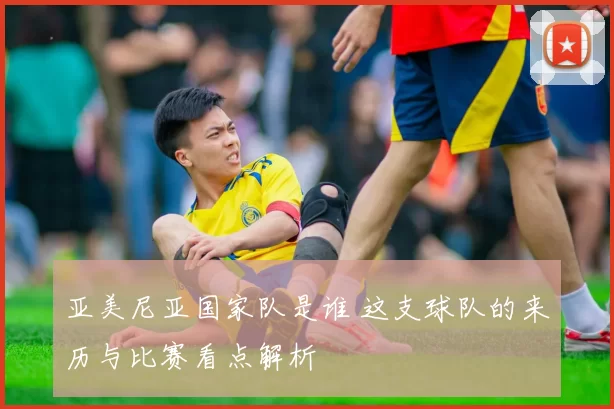 亚美尼亚国家队是谁 这支球队的来历与比赛看点解析