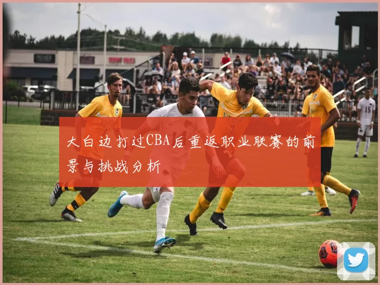 大白边打过CBA后重返职业联赛的前景与挑战分析